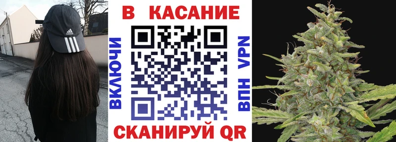 Псилоцибиновые грибы Завитинск